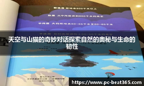 天空与山猫的奇妙对话探索自然的奥秘与生命的韧性
